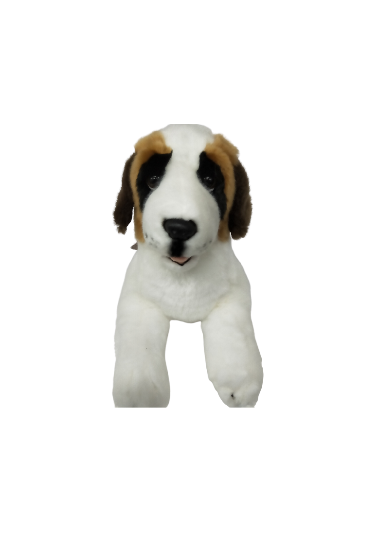 MOZART (ST BERNARD - 40CM LYING)