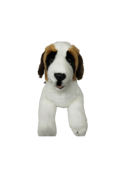 MOZART (ST BERNARD - 40CM LYING)