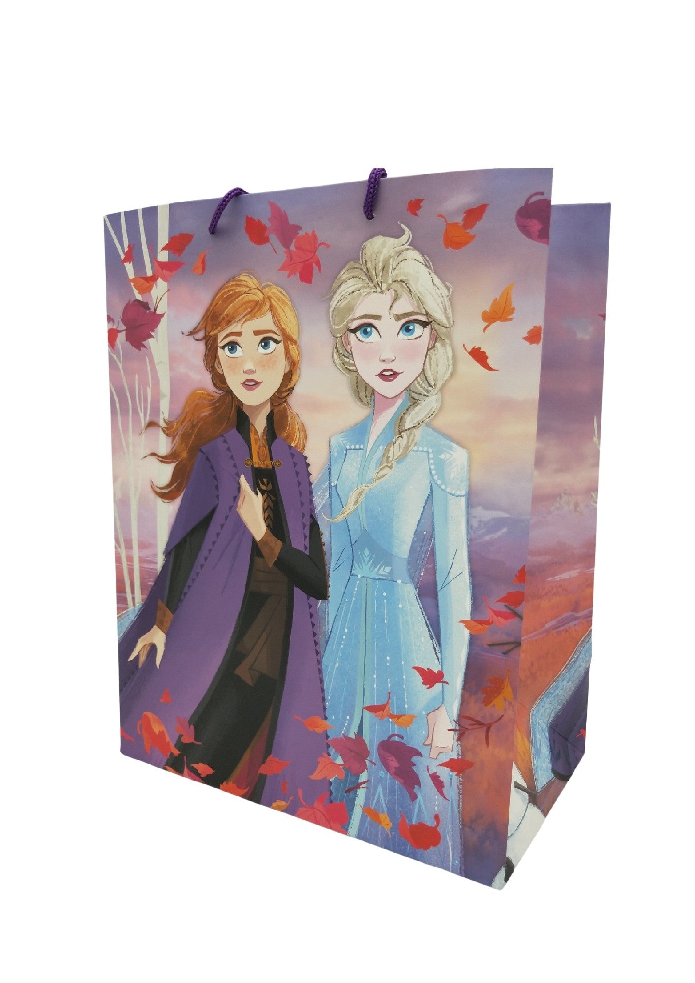 LARGE GIFT BAG FROZEN 2