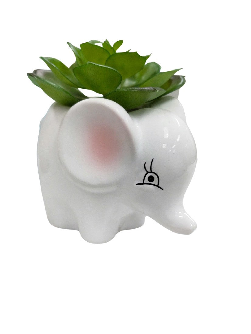 ANIMAL POTS INDIVIDUAL