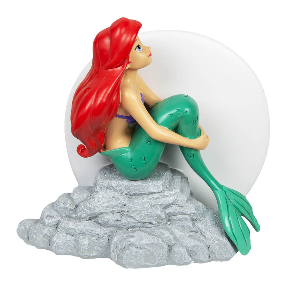 ARIEL 'DREAM BIG'